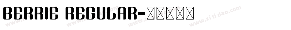 berrie regular字体转换
